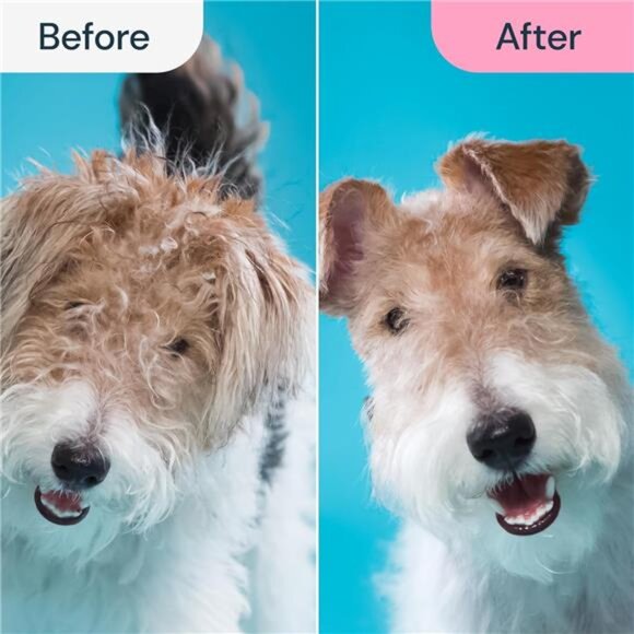 Dog Grooming Brush for Shedding - 2 in 1 Deshedding Tool and Undercoat Rake - Picture 4 of 7